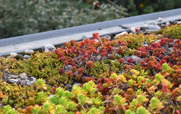 the cost of Llansanffraid Glan Conwy green roof installation
