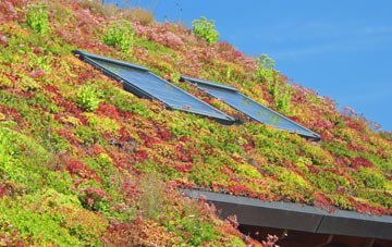 Llansanffraid Glan Conwy living roof systems