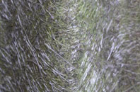 Llansanffraid Glan Conwy fibreglass roof work